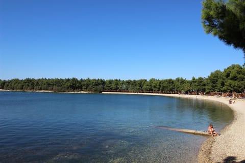 ERIKA Ap 4 Nr1 Apartment in Novigrad