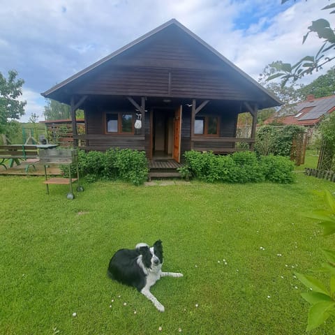 Property building, Spring, Garden, Pets, Garden view