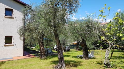 Property building, Garden, Garden view