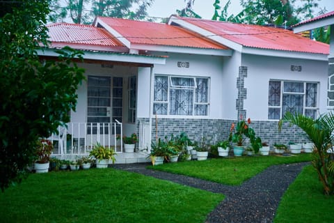 Property building, Garden, Garden, Garden view