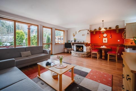 Garden, TV and multimedia, Balcony/Terrace, Living room, Seating area, Dining area, fireplace, internet