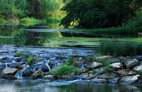 3 pièces rénové climatisé Mandelieu Apartment in Mandelieu-La Napoule