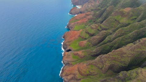 Fully Decked Blue FJ Cruiser! Campground/ 
RV Resort in Wailua