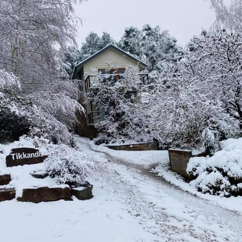 Property building, Winter