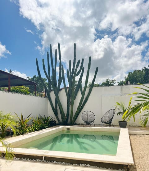 Garden, Swimming pool, Swimming pool