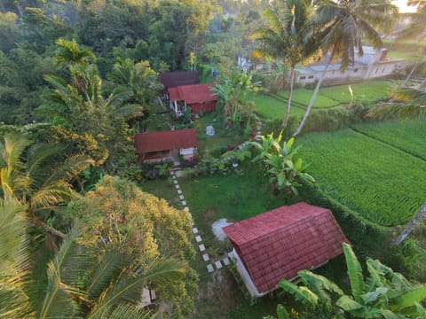 Property building, Day, Natural landscape, Garden, Garden view