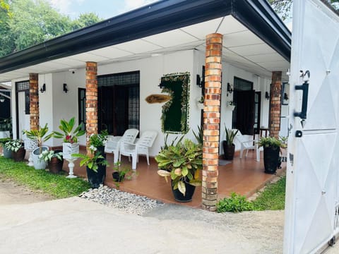 Property building, Garden, Garden view