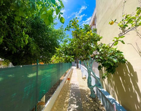 Patio, Facade/entrance, Day, Garden