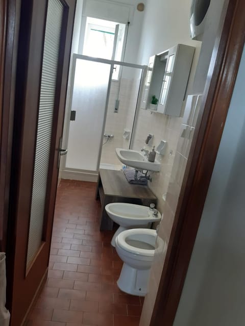 Shower, Toilet, Bathroom, bidet