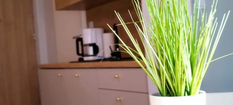 Apartamenty Rondo Apartment in Swinoujscie