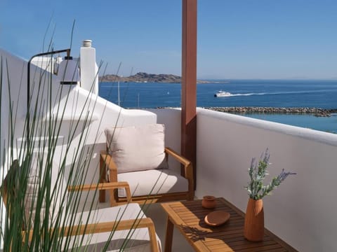 Ekos Penthouse - Stunning View Apartment in Naousa