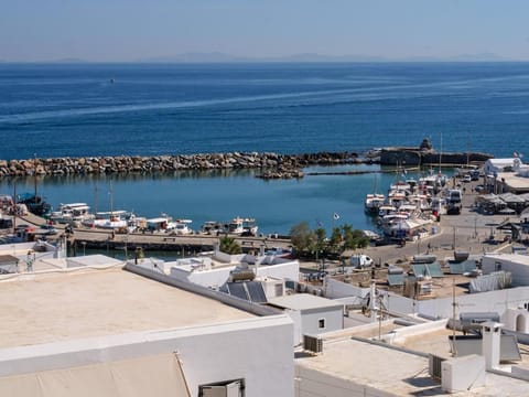 Ekos Penthouse - Stunning View Apartment in Naousa