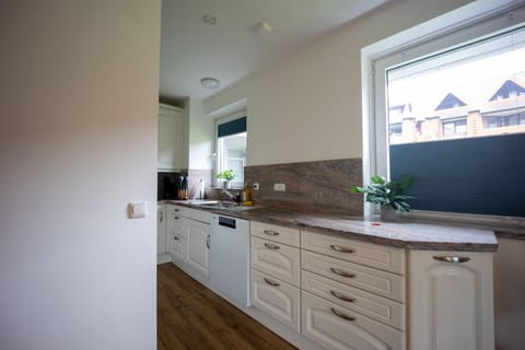 Kitchen or kitchenette, kitchen