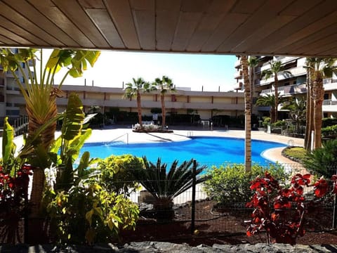Garden view, Swimming pool