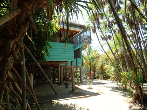 Property building, Garden