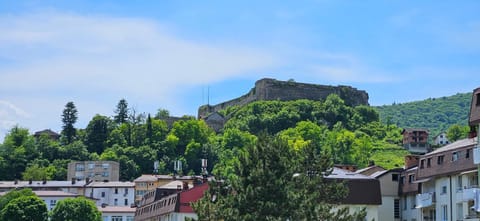 Nearby landmark, Natural landscape, City view, Mountain view