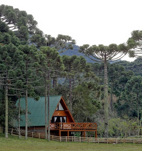 Natural landscape, Garden, Mountain view