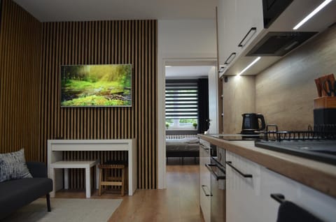 TV and multimedia, Kitchen or kitchenette, Living room, Seating area, stove