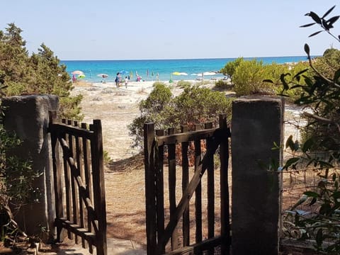Sea view