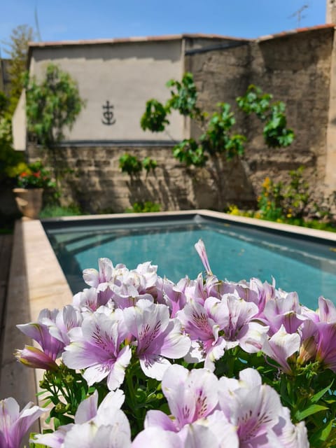 Garden view, Pool view
