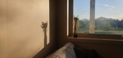 Living room, Mountain view