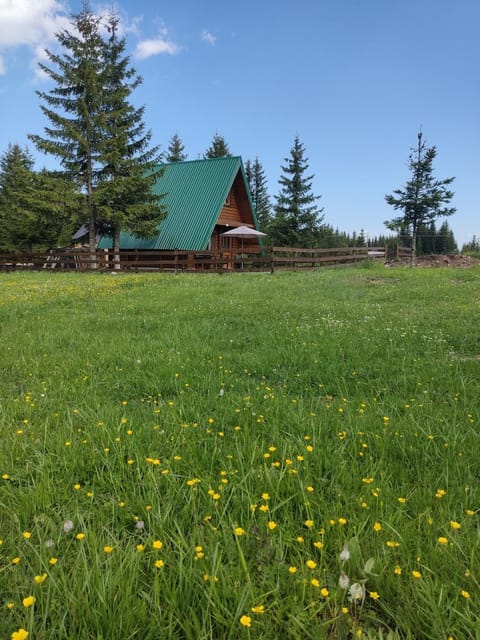 Holiday chalet Asterix Chalet in Montenegro