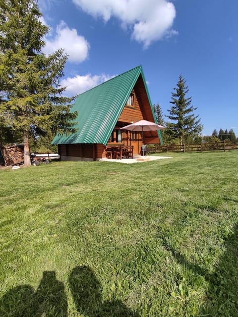 Holiday chalet Asterix Chalet in Montenegro