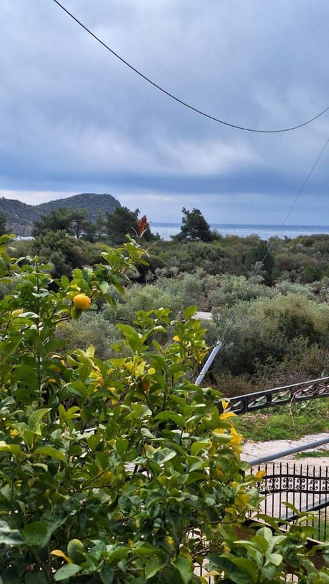 Balcony/Terrace, Mountain view, Sea view