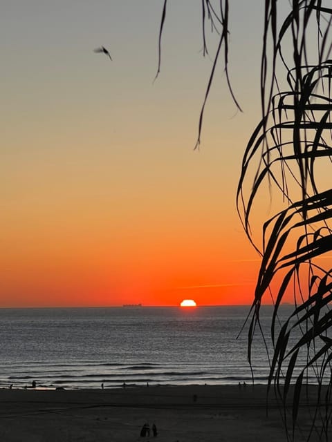 Natural landscape, Beach, Sea view, Sunset
