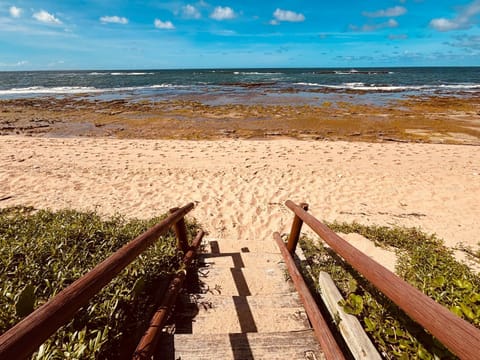 Day, Natural landscape, Garden, Beach, Sea view