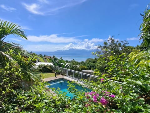 Garden, Garden view, Swimming pool