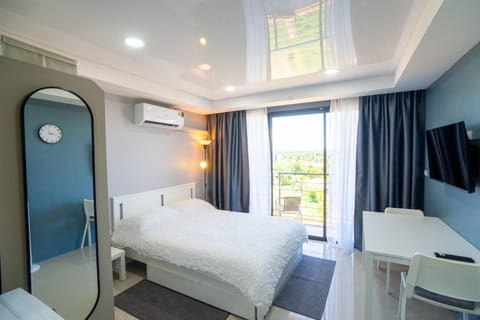 Bed, TV and multimedia, Balcony/Terrace, Bedroom, air conditioner