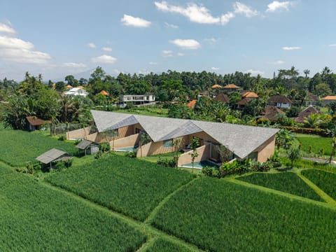 Property building, Bird's eye view