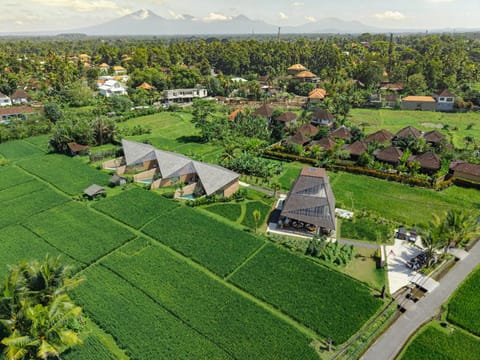 Property building, Bird's eye view