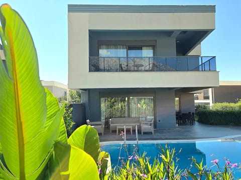 Property building, Patio, Swimming pool