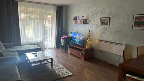 Eleonor Mountain Apartment 2 Apartment in Bansko