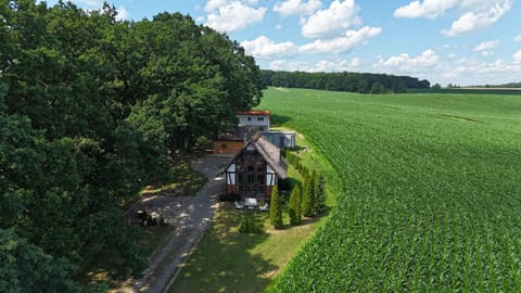 Spring, Day, Neighbourhood, Natural landscape, Bird's eye view, Garden