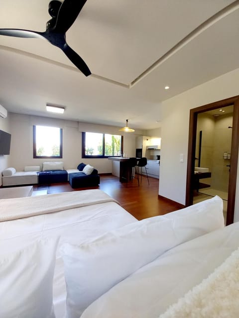 Ianos Living Spaces - 01 Apartment in Islands