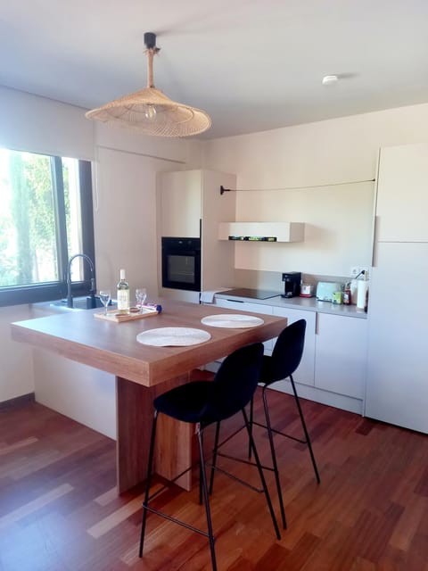 Ianos Living Spaces - 01 Apartment in Islands