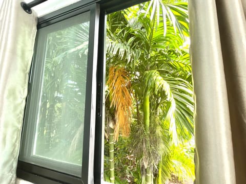 Day, Natural landscape