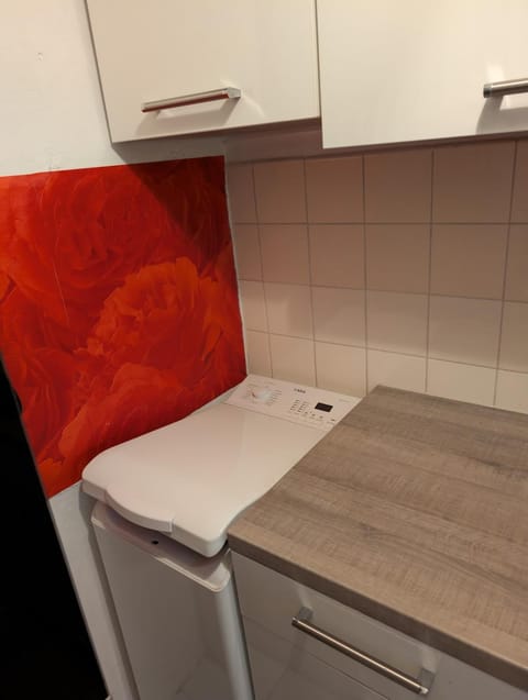 Kitchen or kitchenette, washing machine