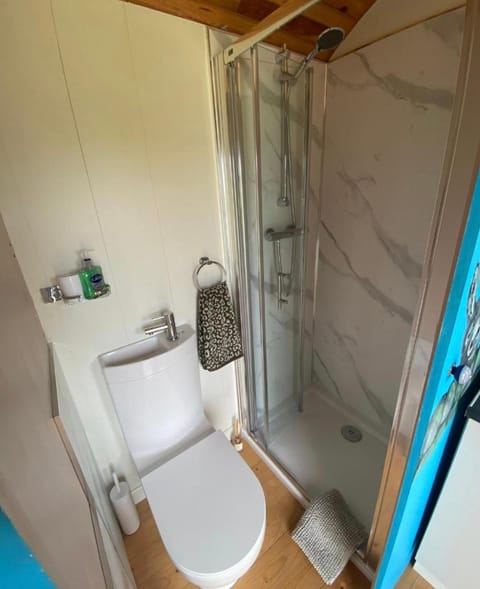 Wooly Huts Green Nature lodge in Westport