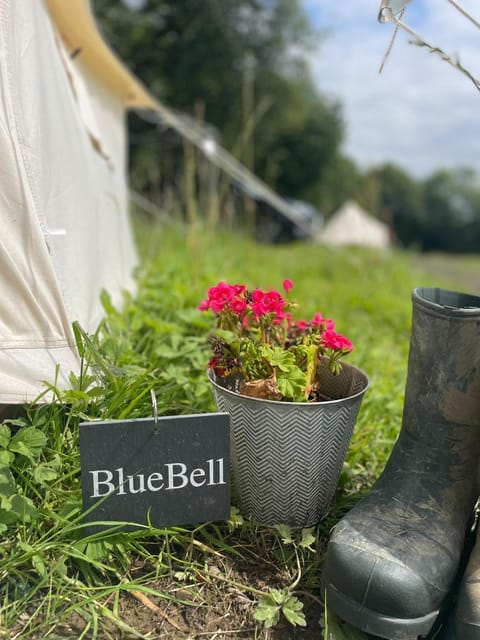 Foxglove Campground/
RV Resort in West Devon District