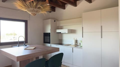 Ianos Living Spaces - 03 Apartment in Islands