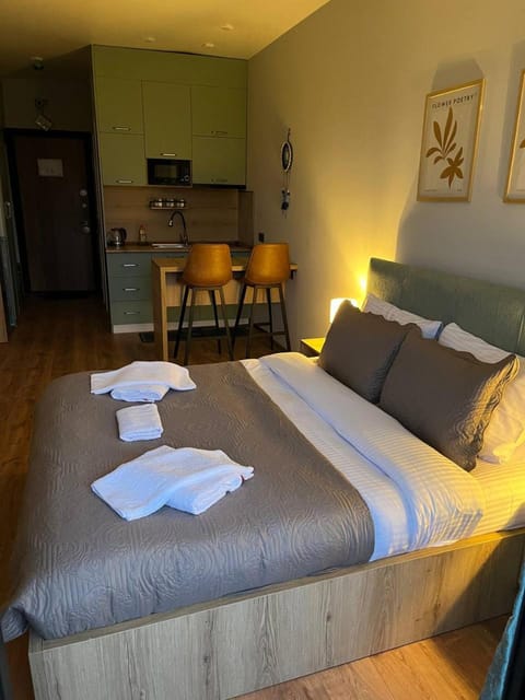 Bed, TV and multimedia, Living room, Photo of the whole room, Seating area, Bedroom