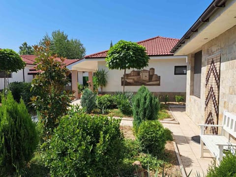 Patio, Garden, kitchen