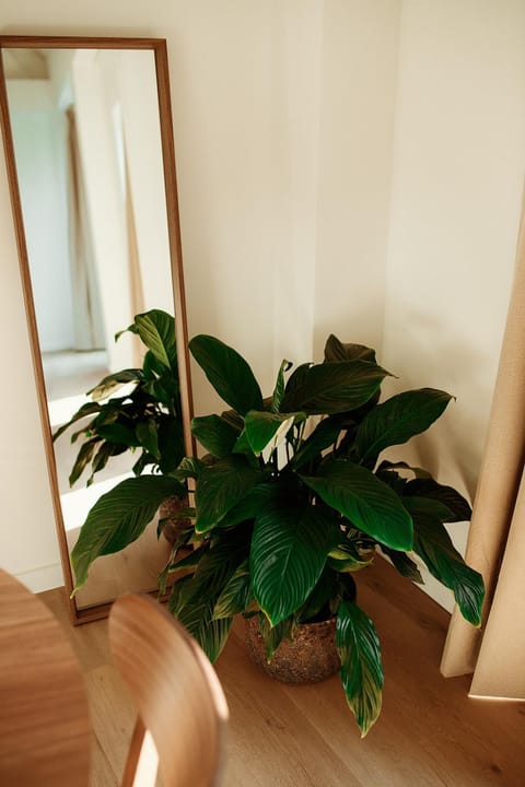 Studio & Stay Loft Apartment in Ghent