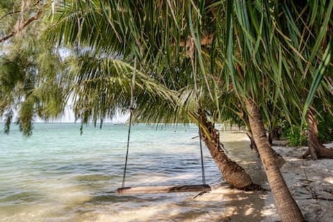 Restaurant/places to eat, Horse-riding, Horse-riding, Snorkeling, Snorkeling, Beach, Beach, Sunset