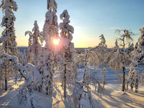 The Copper Nest by Hilla Villas Villa in Lapland