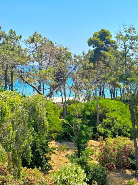 Nearby landmark, Spring, Day, Natural landscape, Beach, Lake view, Sea view